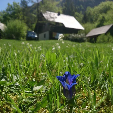 Apartamento Apartmaji Zupancic