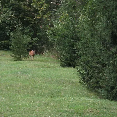 Apartmaji Zupancic *