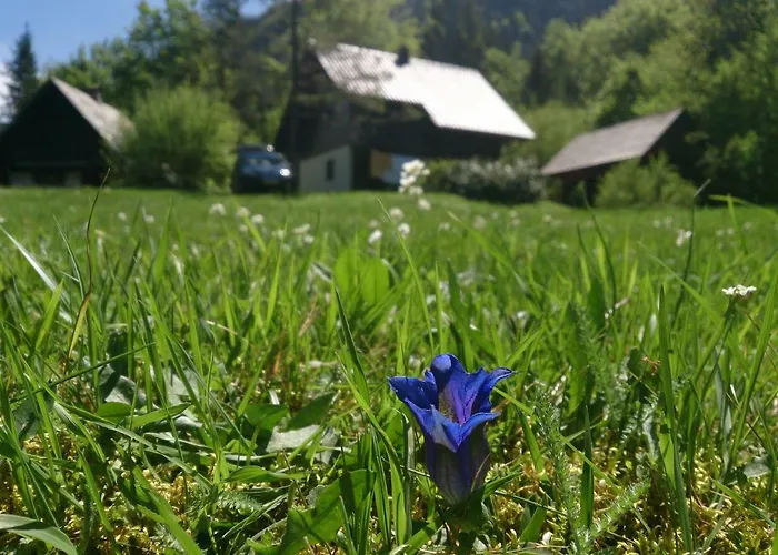 Apartmán Apartmaji Zupancic