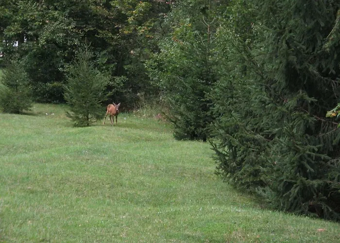 Apartmaji Zupancic *